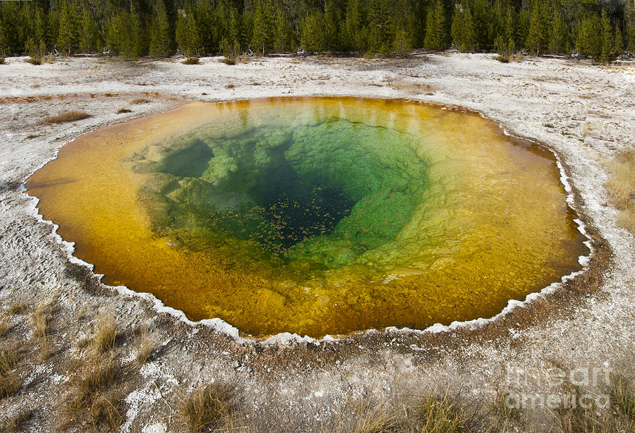 Morning Glory Pool - Yellowstone Photograph by Sandra Bronstein