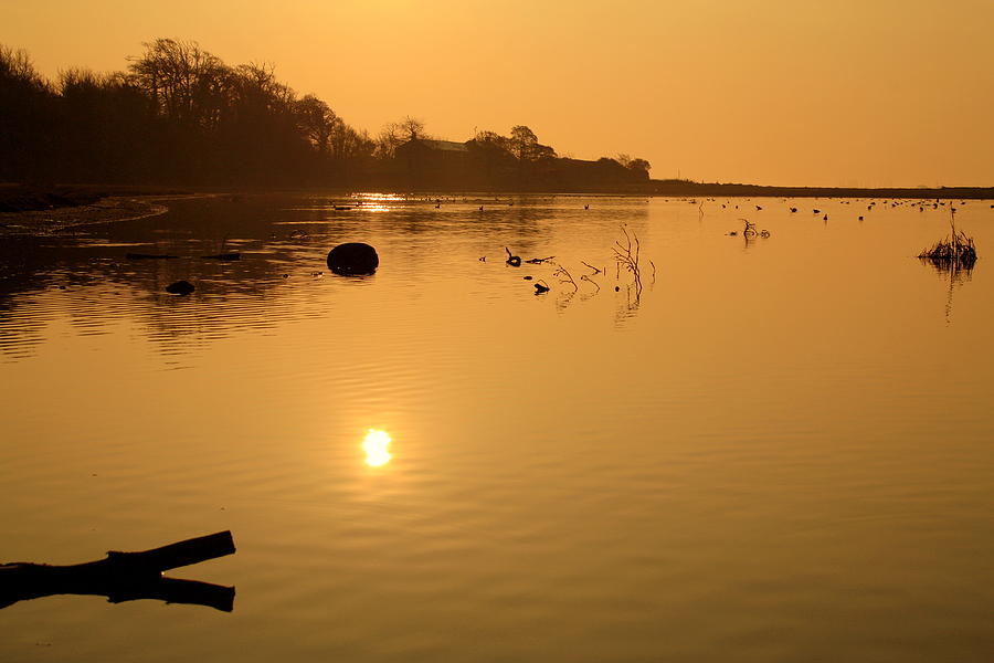 Morning Glow on the Estuary Photograph by Martina Fagan