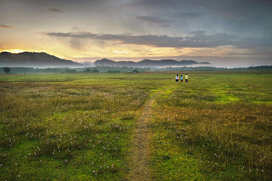 Morning in a countryside Photograph by Ng  Hock How