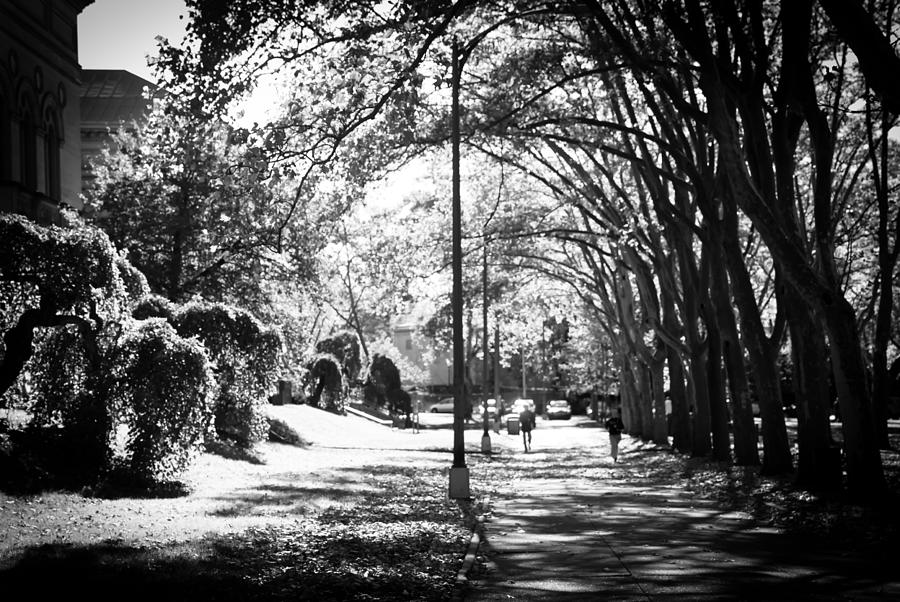 Exercise Photograph - Morning Jog by Jason Heckman Exercise Photograph - Morning Jog by Jason Heckman