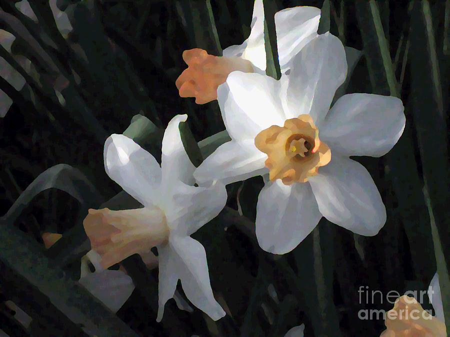 Morning Jonquils Photograph by Sherry Oliver