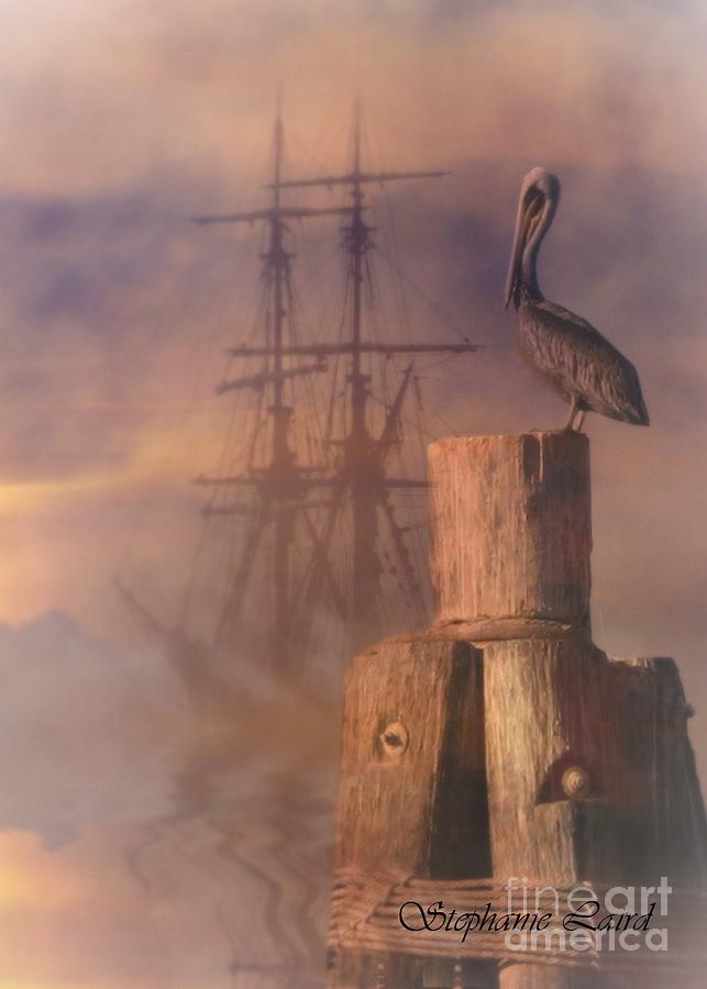 Tall Ship and Pelican and Pilngs Photograph by Stephanie Laird