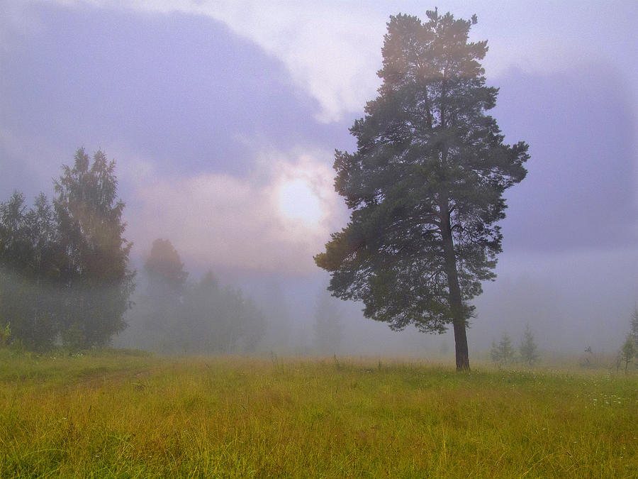 Landscape Photograph - Morning Ligut-3 by Vladimir Kholostykh