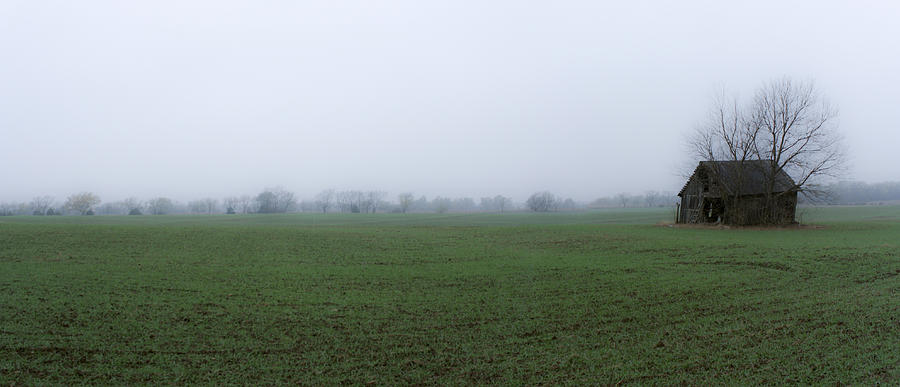 Landscape Photograph - Morning Mist by Bret D Rouse