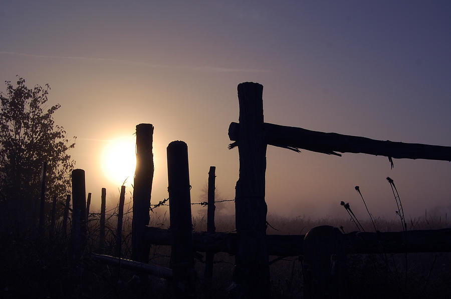 Rustic Photograph - Morning Mist by Cindy Rubin