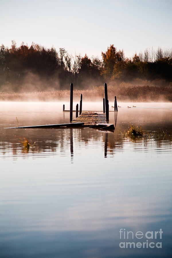 Fall Photograph - Morning mist by Kati Finell