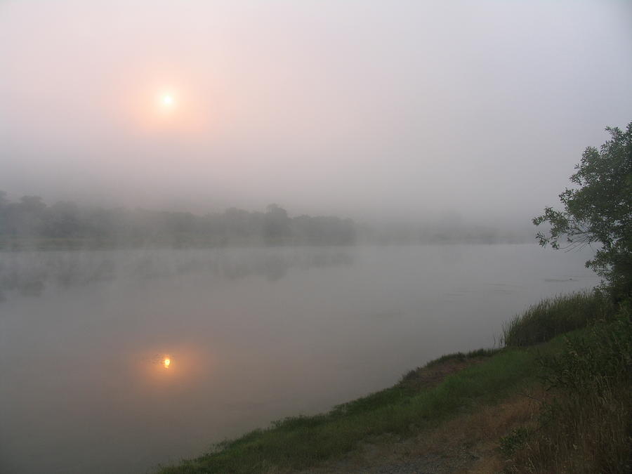 Willow Creek Morning mist Photograph by Mark Norman