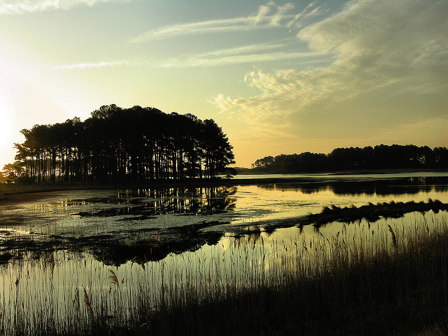 Morning on Assateague Island Photograph by Steven Ainsworth - Fine Art ...