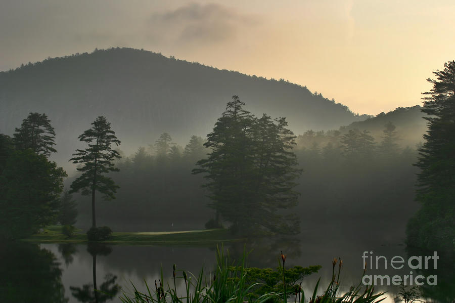 Morning on the Lake Photograph by Matt Tilghman
