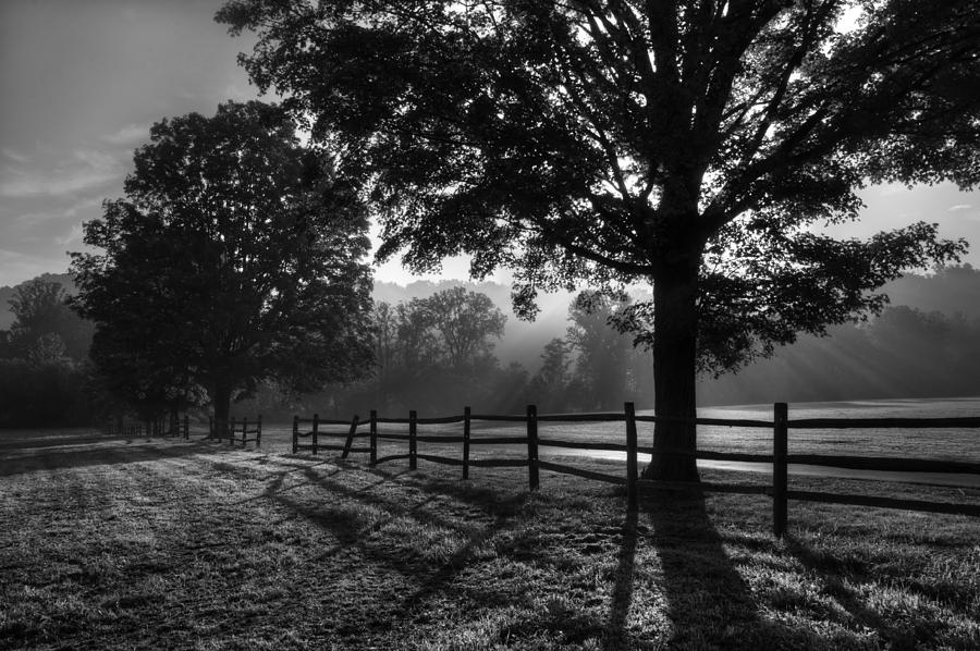 Morning Rays Photograph by Bruce Wunderlich - Fine Art America