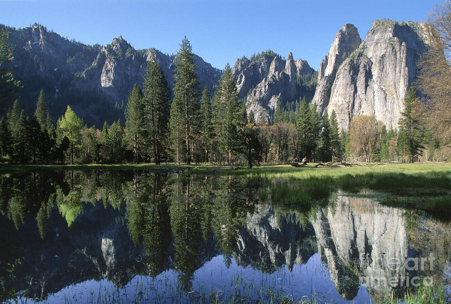 Morning Reflection at Yosemite Photograph by Sandra Bronstein
