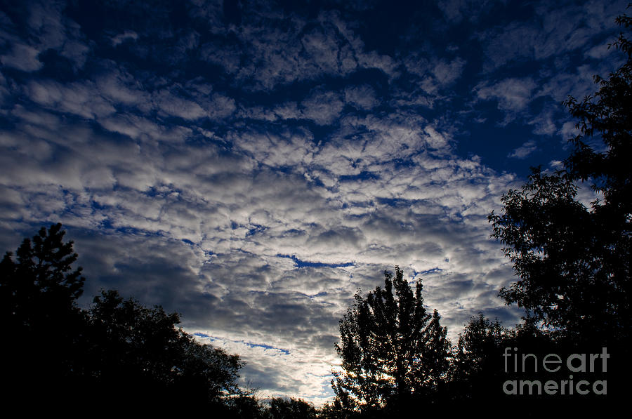 Morning Sky Photograph by Terry Elniski
