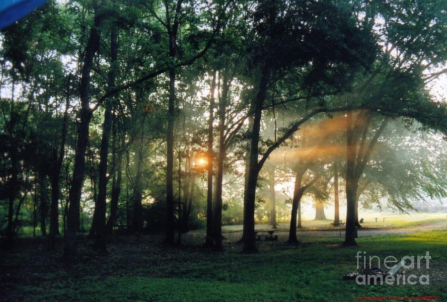 Morning Sun at Moundville AL Photograph by Sherrie Winstead