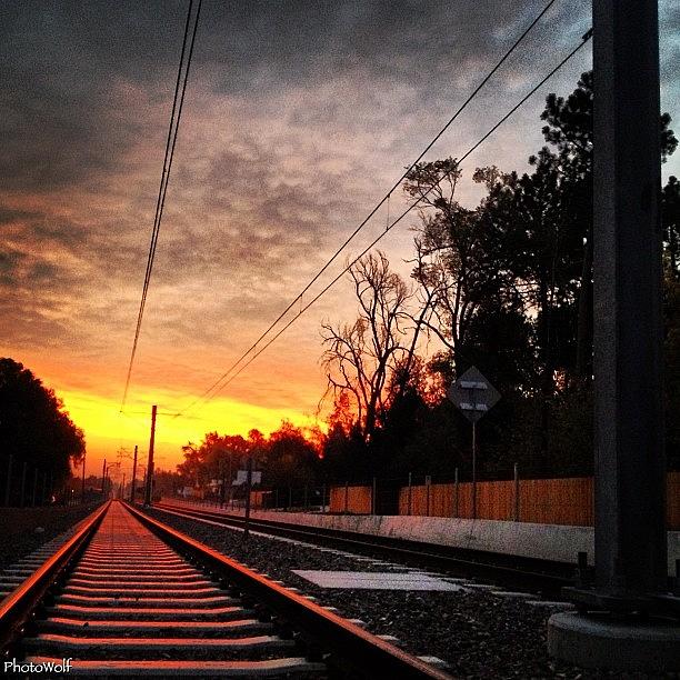 Morning Sun On The Light Rail Photograph by Wolf Stumpf