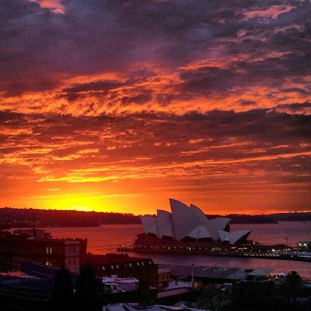 Australia Photograph - Morning, Sunrise! #sunrise #sydney by Souffinx Khanteim