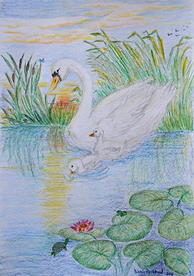 Morning Swim I Original Colored Pencil Drawing Drawing by Debbie Portwood