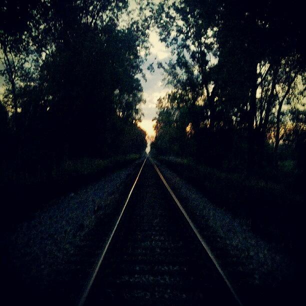 Morning Walk On The Tracks :3 Photograph by Kay Marie