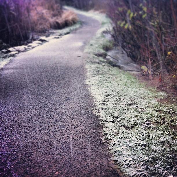 Nature Photograph - #morning #winter #snow #snowy #pathway by Karen Clarke