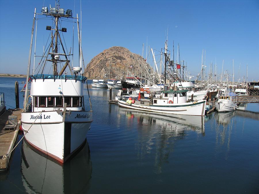 Morro Bay Fishing Fleet Photograph by Bob Davis