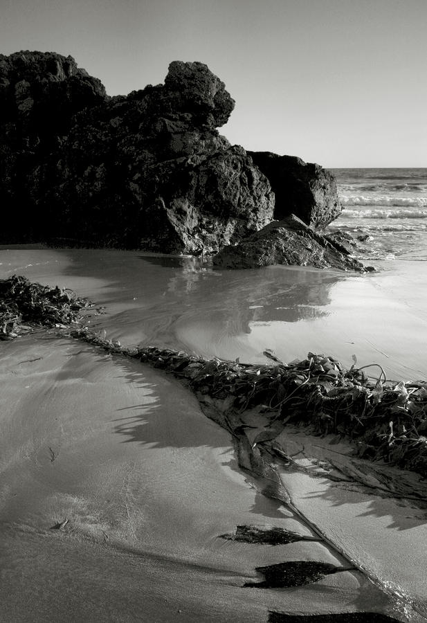 Black And White Photograph - Morro Bay Shoreline by Steven Ainsworth