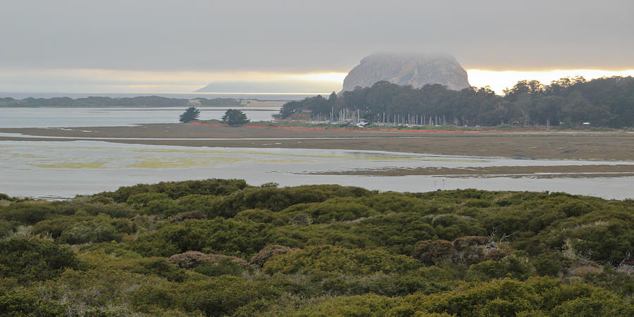 Nature Photograph - Morro Rock From The Elfin Forest by Heidi Smith
