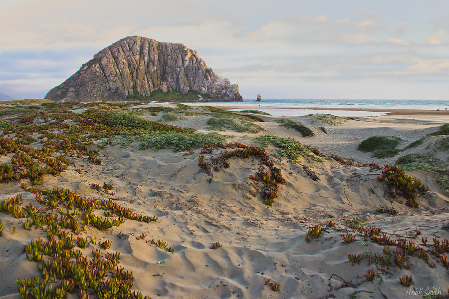 Morro Rock Photograph by Heidi Smith