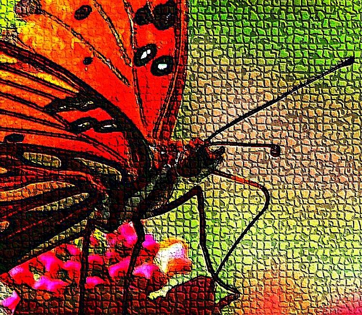 Mosaic Butterfly Digital Art by Carrie OBrien Sibley