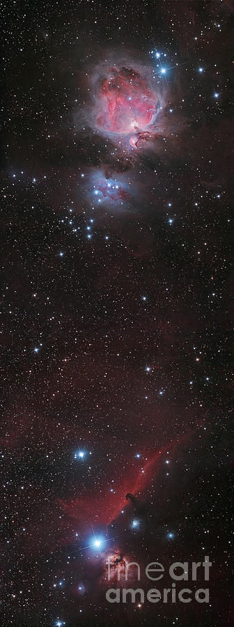 Space Photograph - Mosaic Of Orion Nebula And Horsehead by Philip Hart