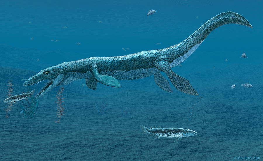 mosasaurus reptiles