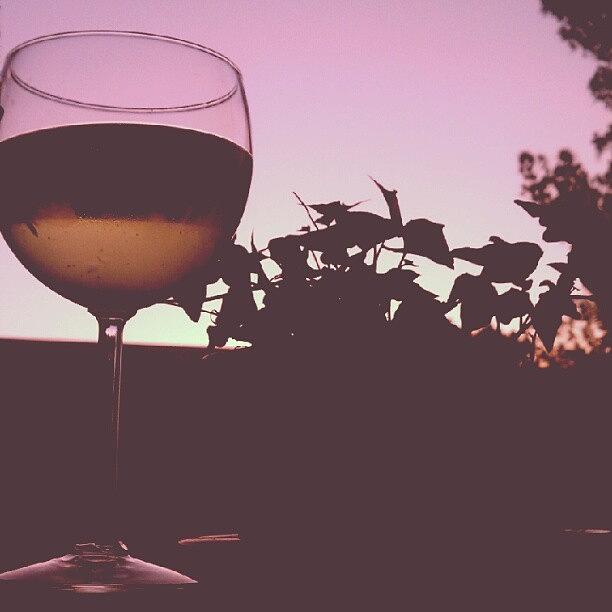 Sunset Photograph - Moscato Silhouette by Mary Griffin