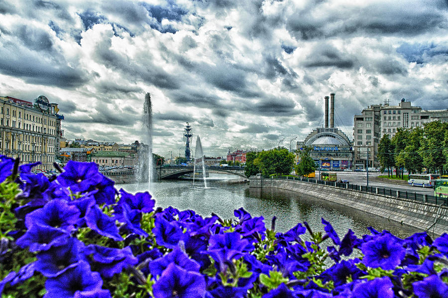 Moscow River Violets Photograph by Rick Bragan