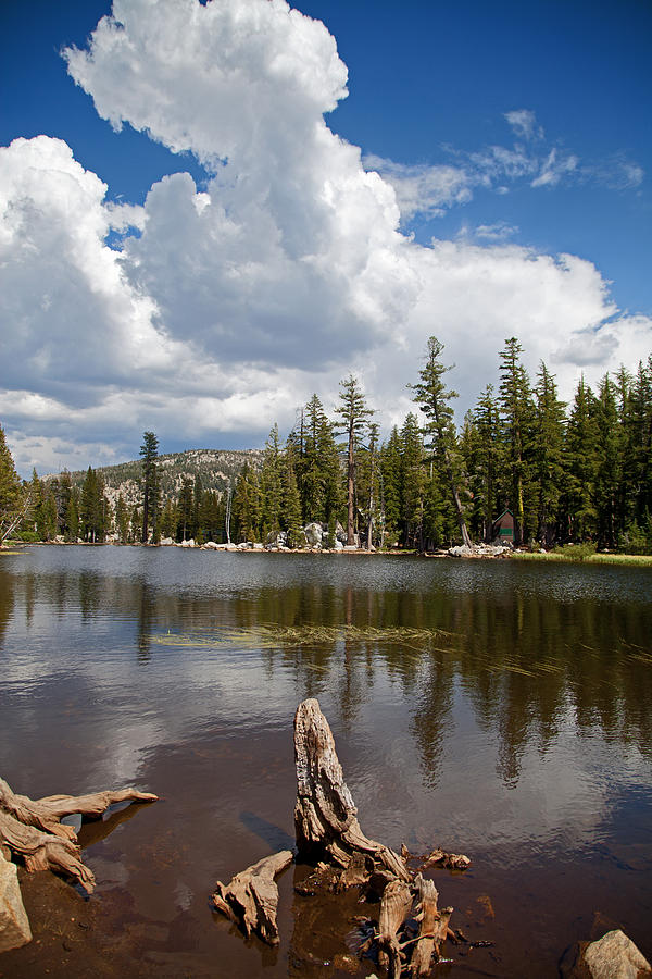 Mosquito Lake III Photograph by Joe Fernandez - Fine Art America