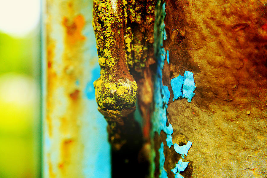 Moss and Rust II Photograph by Toni Hopper