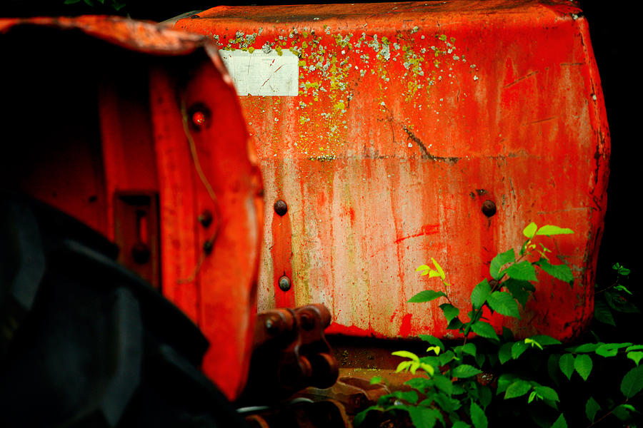 Moss and Rust V Photograph by Toni Hopper