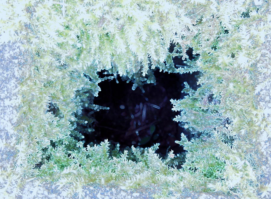 Moss Geode Photograph by Renee Trenholm
