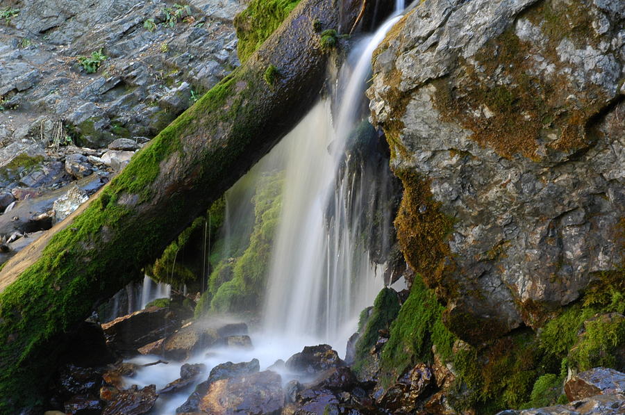 Mossy Falls Photograph by Jeremiah Nichols - Fine Art America