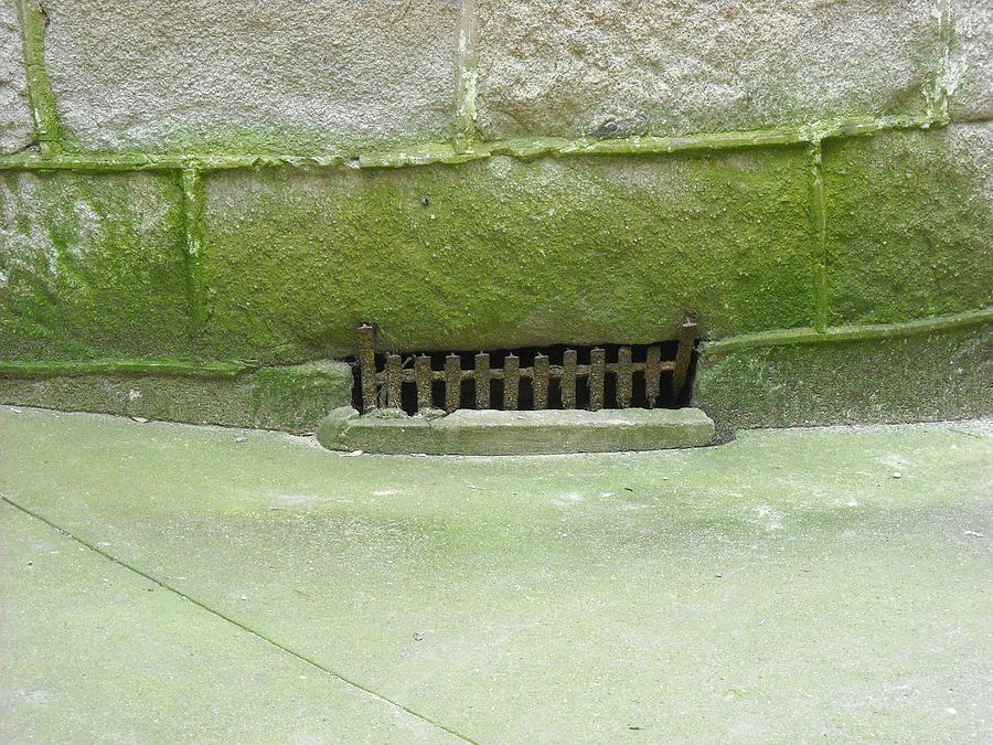 Mossy Grate Photograph by Christophe Ennis
