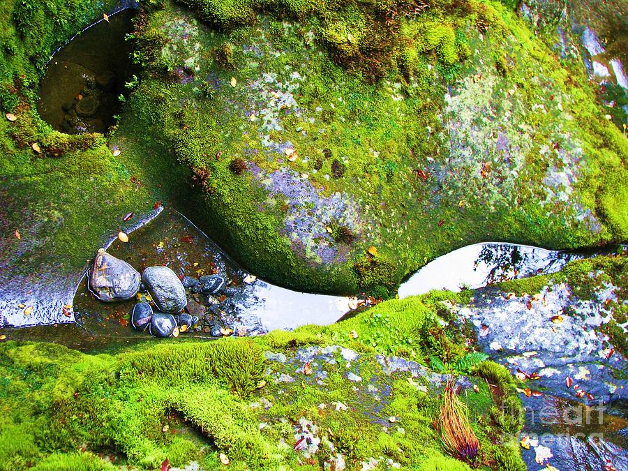 Mossy Rocks and Water Reflections Photograph by Michele Penner