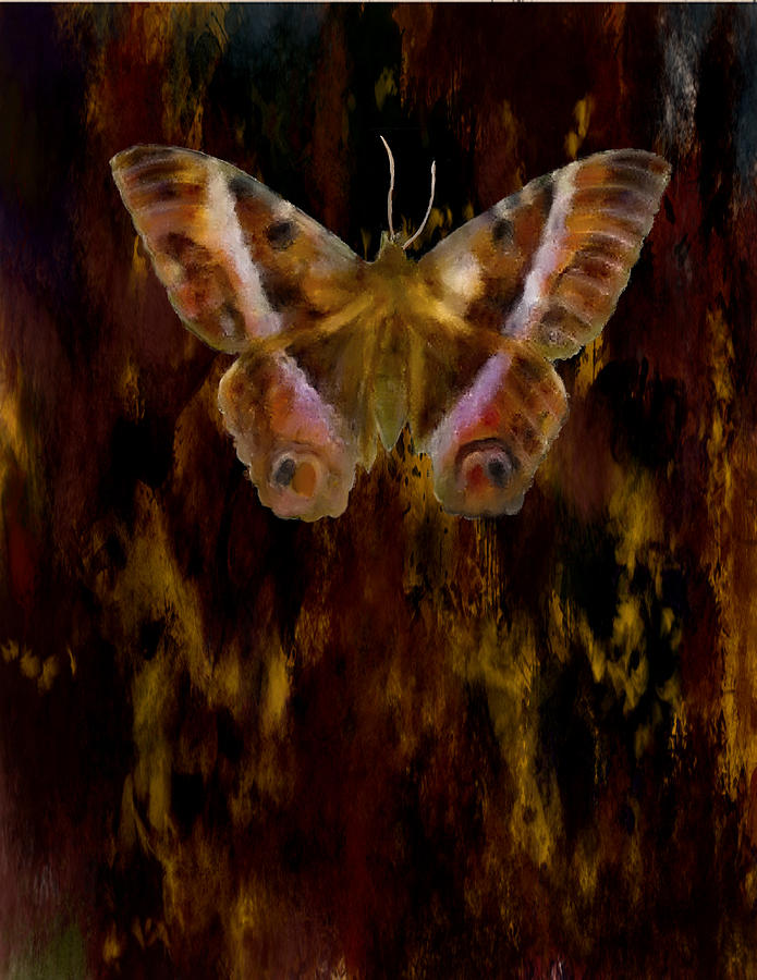 Moth Digital Art By Lora Belle Fine Art America