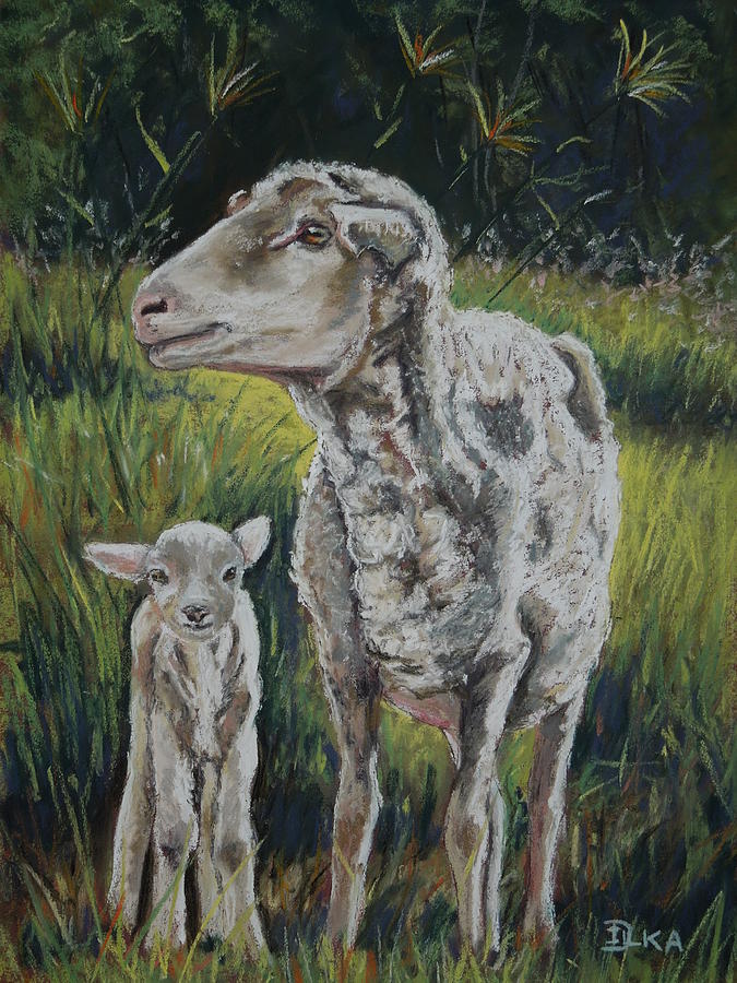 Sheep Pastel - Mother and Son by Dianne  Ilka