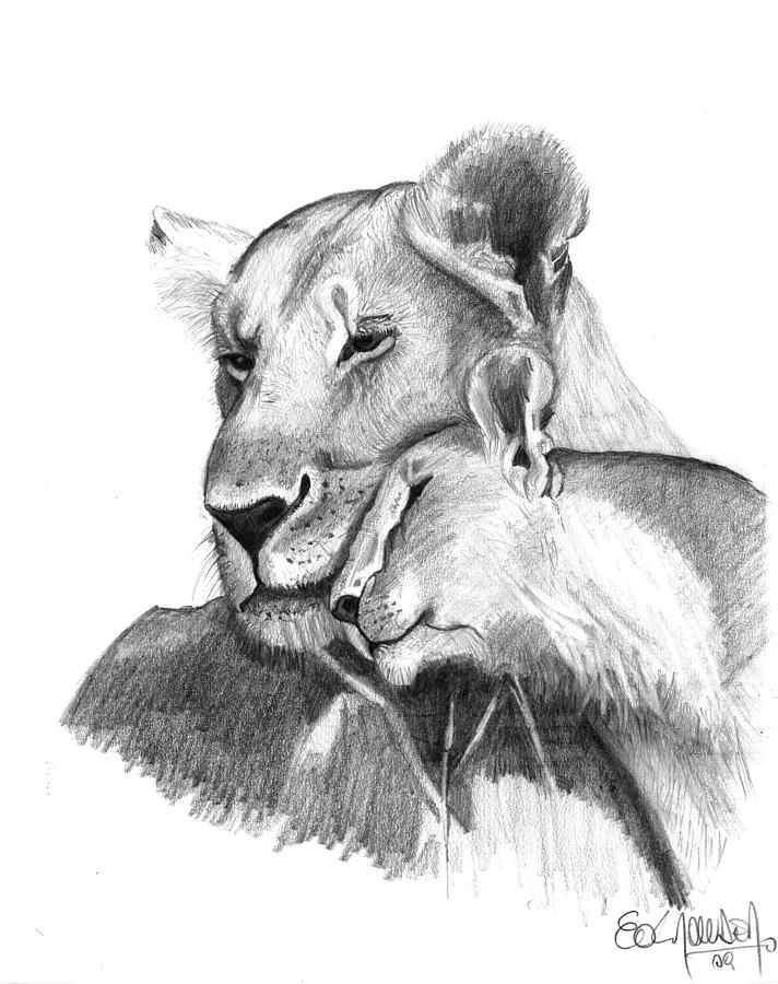 Mother And The Lion Baby Drawing by Eduardo Crowder
