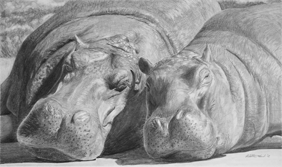 Hippopotamus Drawing - Mother-Daughter Time by Heather Ward