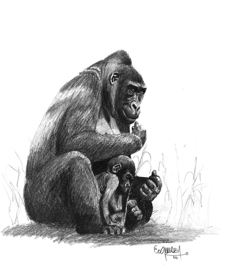 Mother Gorilla And The Baby Drawing By Eduardo Crowder Use this drawing guide to show mom how sweet you think she is! mother gorilla and the baby by eduardo crowder