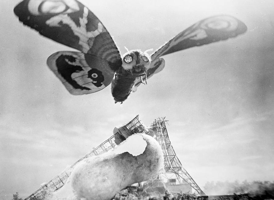 Mothra, 1961 Photograph by Granger