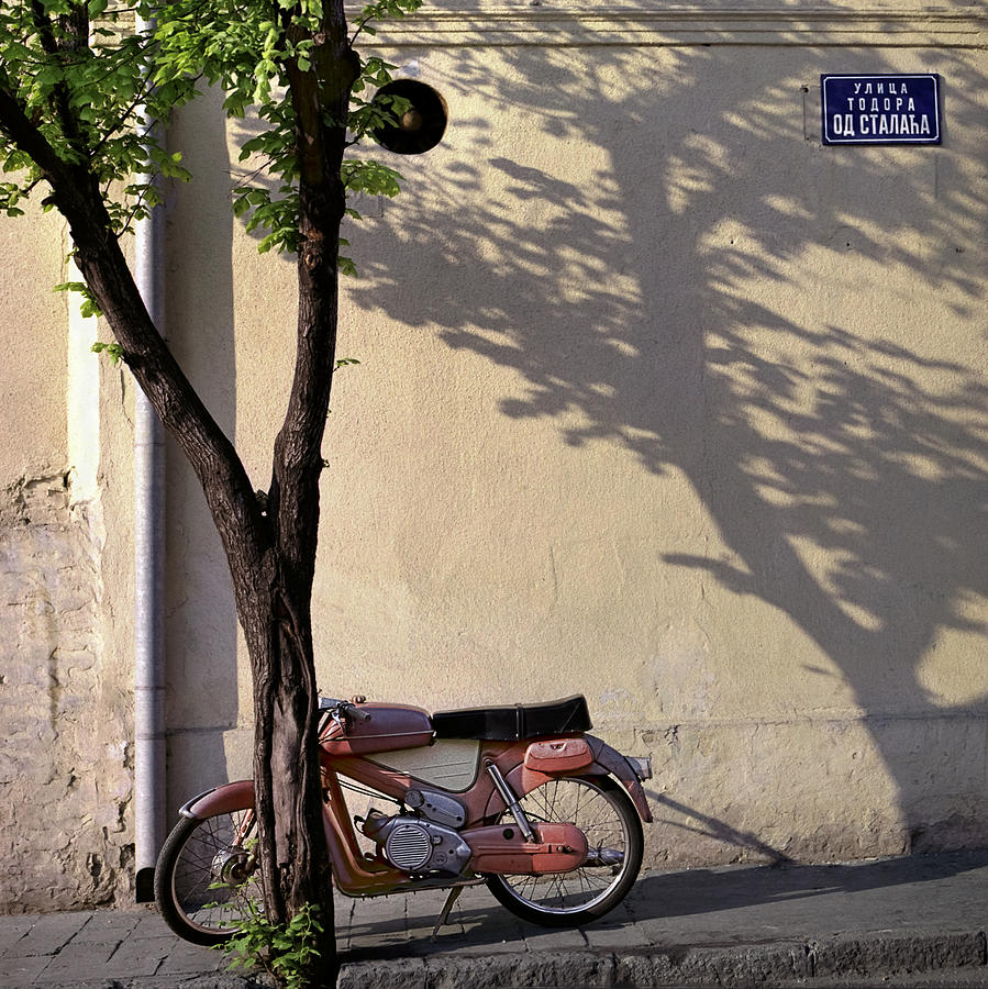 Motorcycle and tree. Belgrade. Serbia Photograph by Juan Carlos Ferro Duque