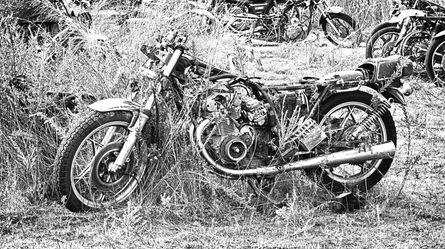 Motorcycle Graveyard Photograph by Douglas Barnard