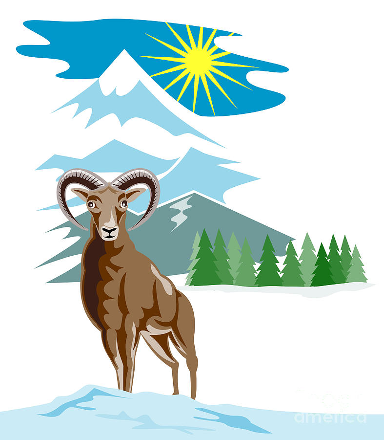Sheep Digital Art - Mouflon Sheep Mountain Goat by Aloysius Patrimonio