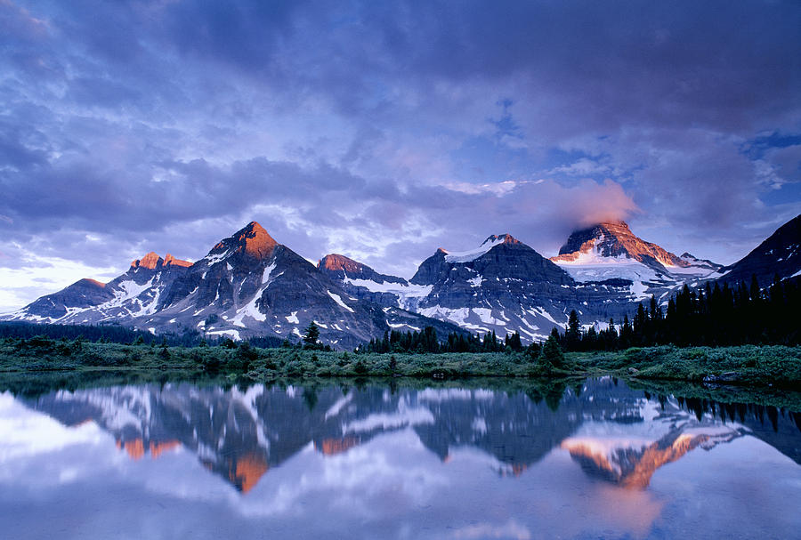 Mount Assiniboine Photograph by David Nunuk | Fine Art America
