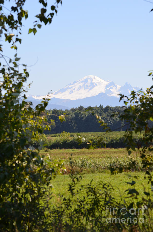 Mount Baker Photograph - Mount Baker 2 by James E Weaver Mount Baker Photograph - Mount Baker 2 by James E Weaver