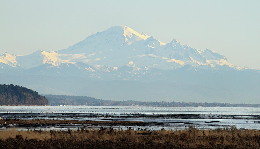 Mount Baker from Boundary bay Photograph by Pierre Leclerc Photography ...